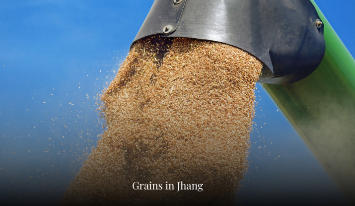 Grains in Jhang