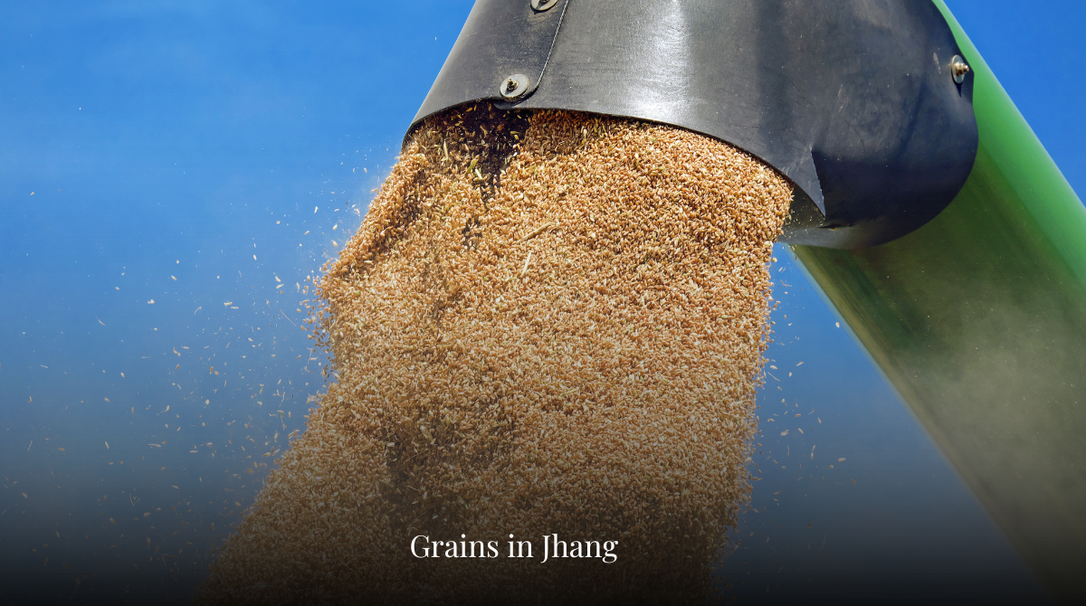 Grains in Jhang