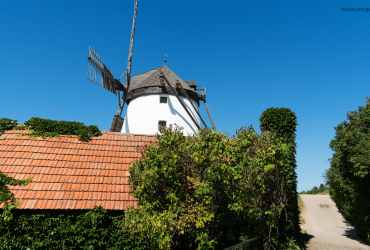 Ravi Flour Mill