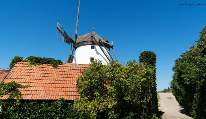 Ravi Flour Mill