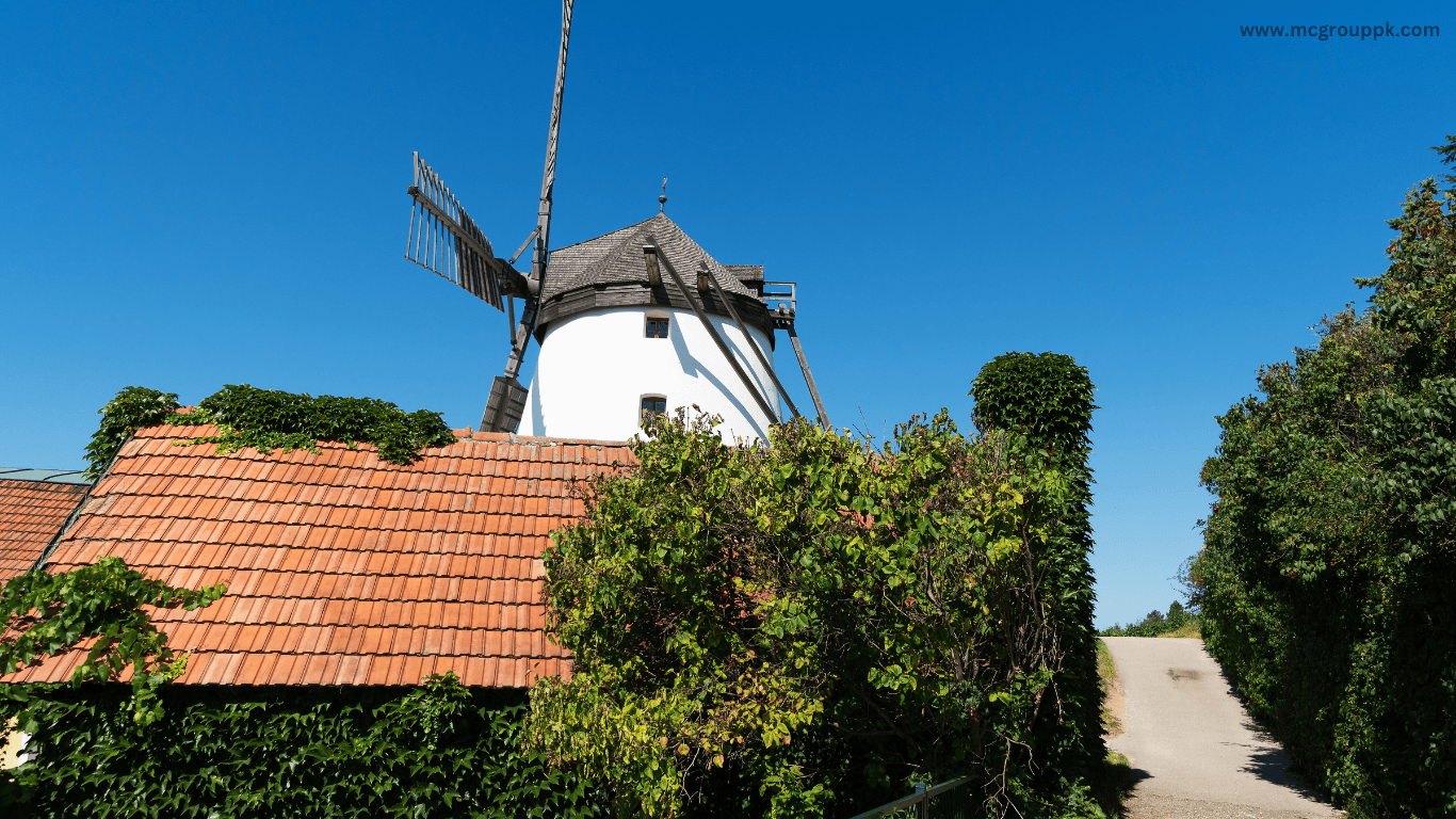 Ravi Flour Mill