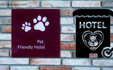 Pet-Friendly Hotels