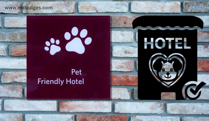 Pet-Friendly Hotels