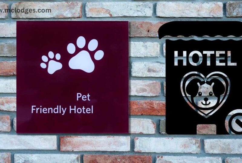 Pet-Friendly Hotels