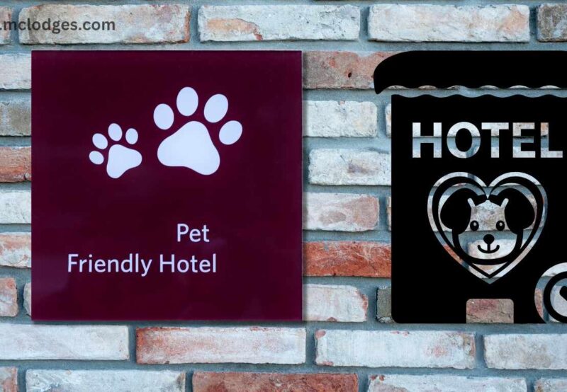 Pet-Friendly Hotels